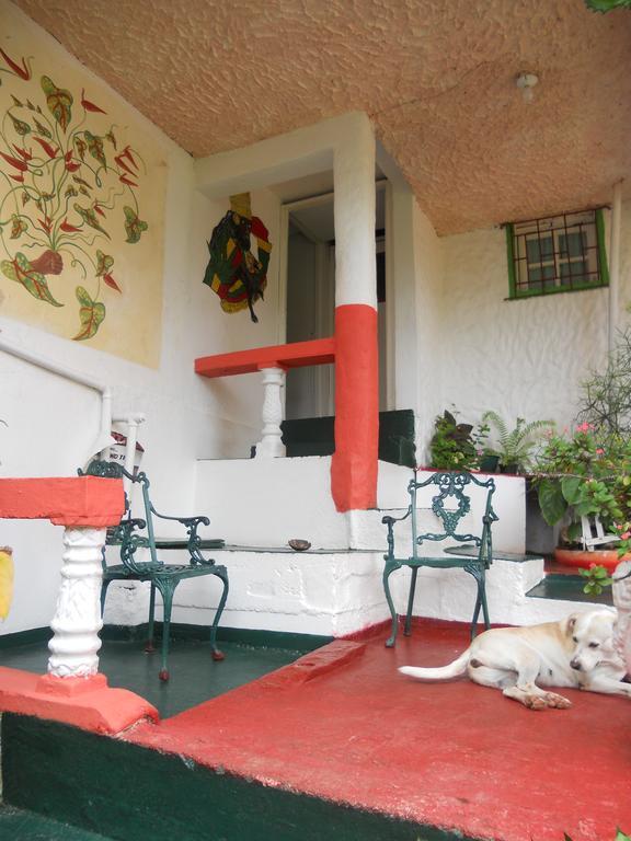 Drapers San Guest house Port Antonio