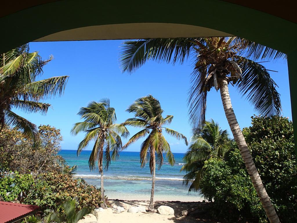 Ababor Suites Aparthotel Vieques