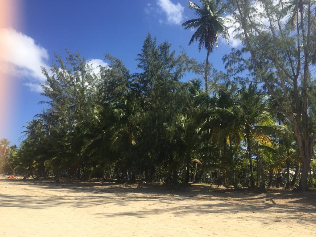 Blu * Las Terrenas