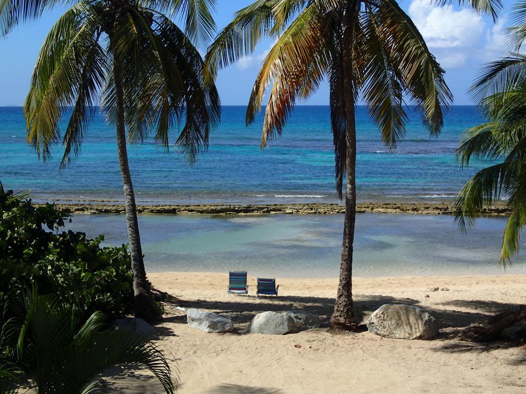Ababor Suites 3* Vieques