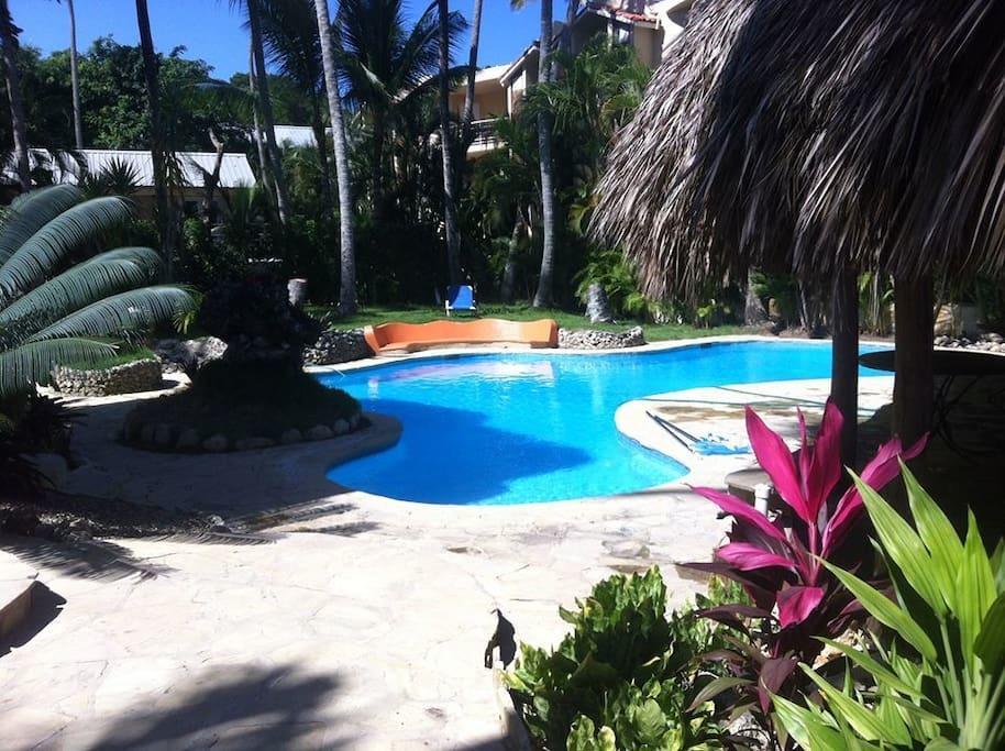 Caribe Surf Hotel Cabarete