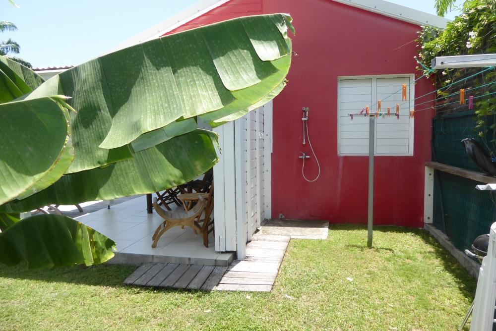Bananas * Saint-Francois (Grande-Terre)