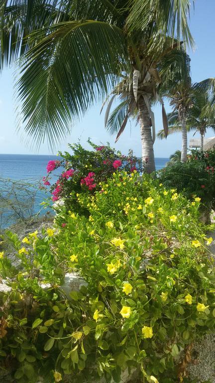 Bon Bini Curacao Apartment *