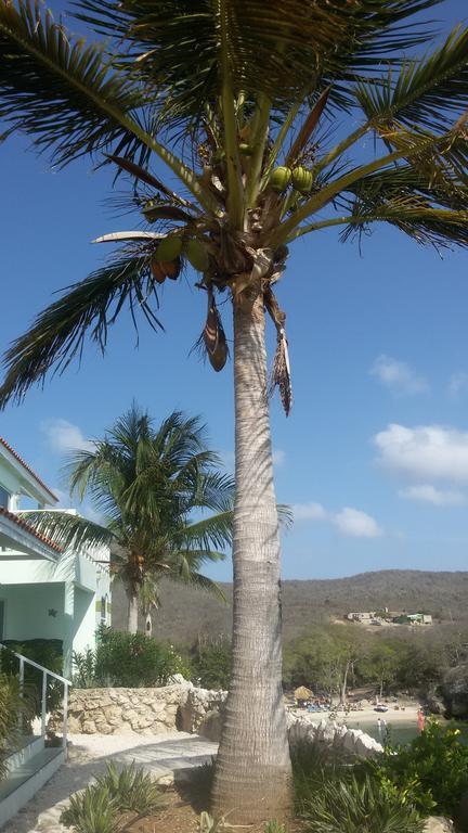 Bon Bini Curacao Apartamento