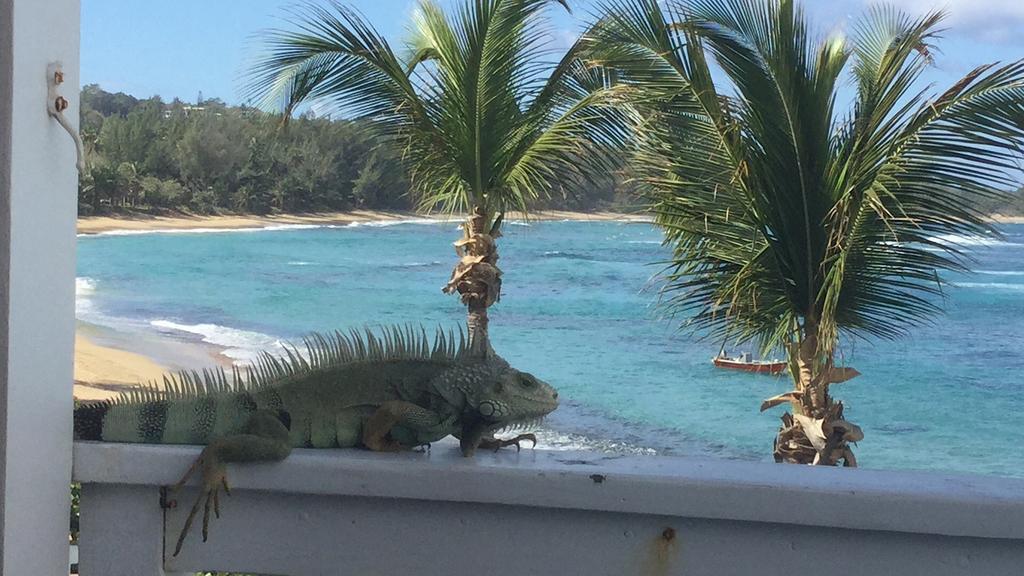 Western Puerto Rico Beach Villas, *