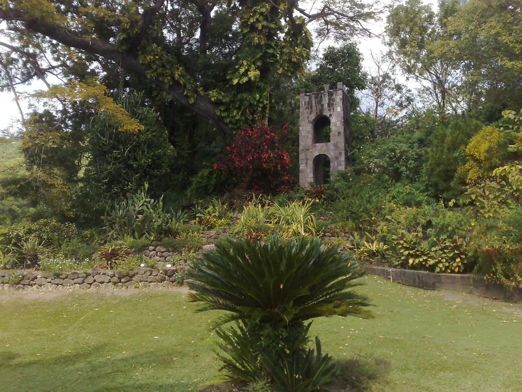 Bed & Breakfast Fern Tree