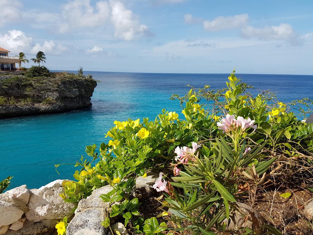 Bon Bini Curacao Apartment *