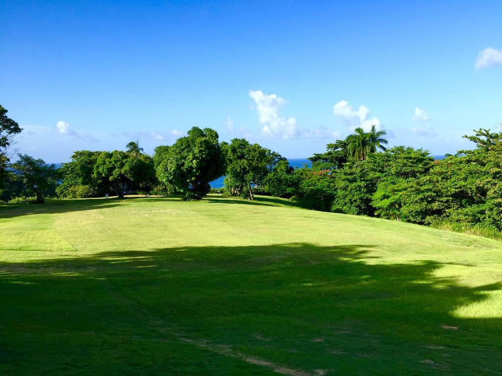 Goblin Hill At San San Resort Drapers