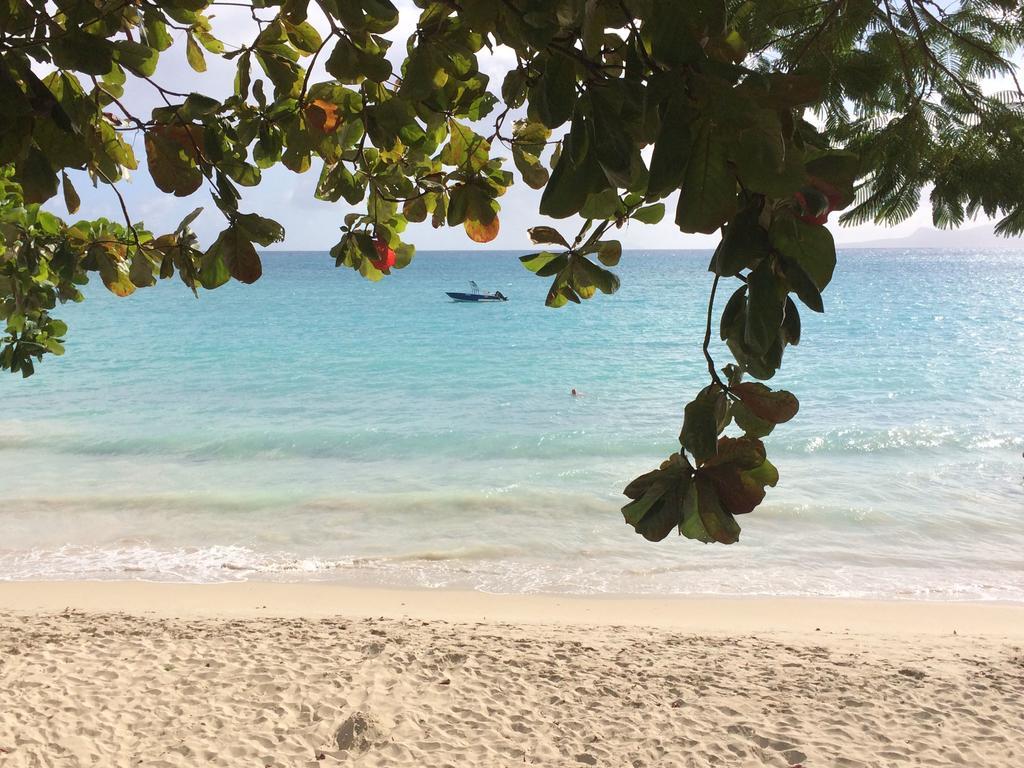 La Nou Cinq * Le Gosier (Grande-Terre)