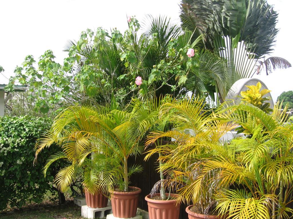 Apartamento Annwin *