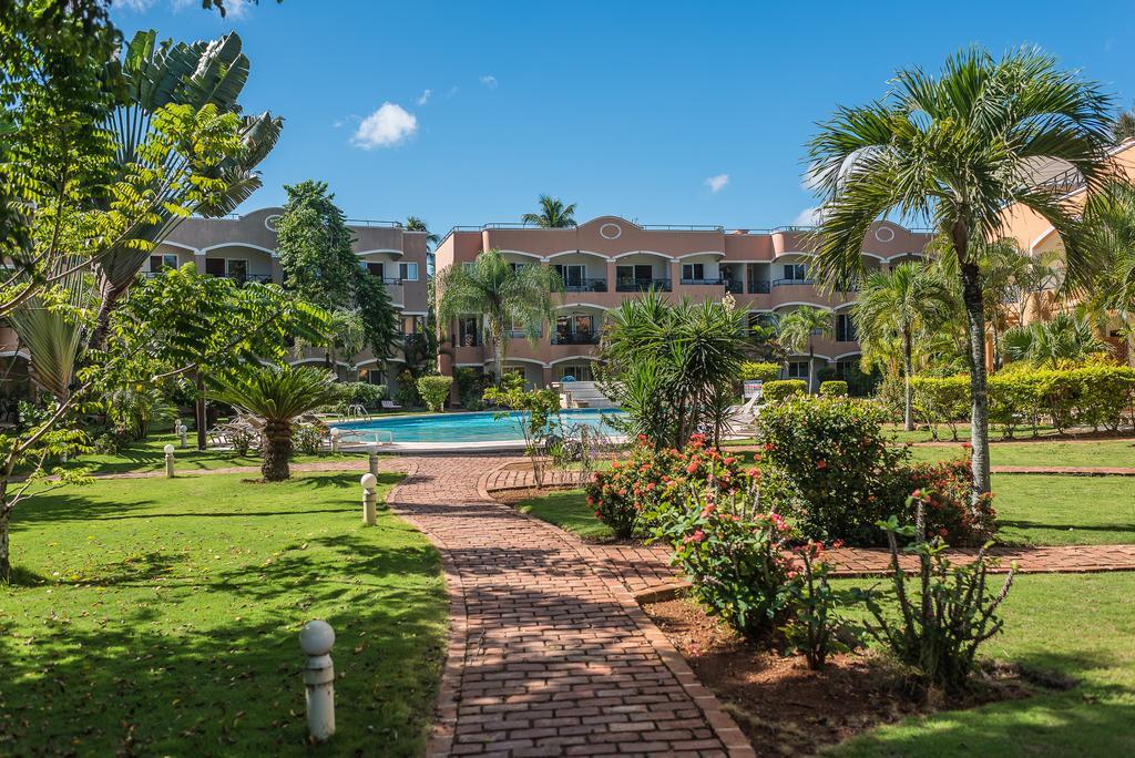 Don Cesar