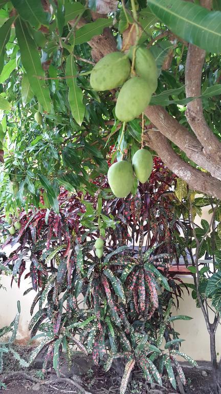 Ade's Domicil Guest house