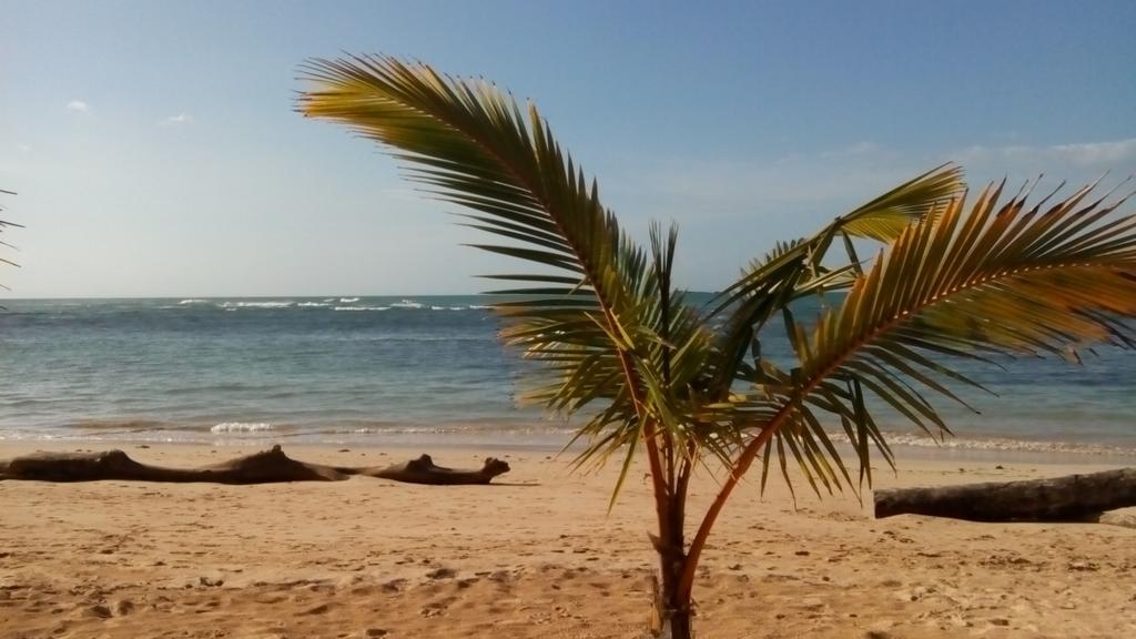 Caraibirent * Las Terrenas