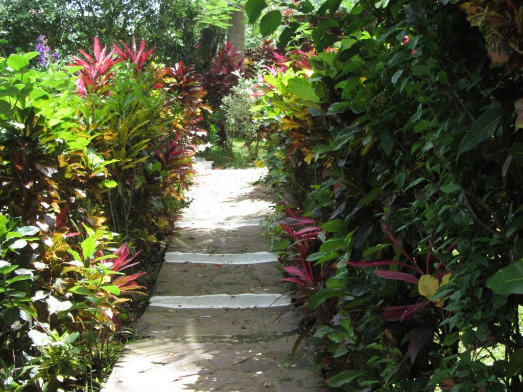 Hibiscus Valley Pensão 3*