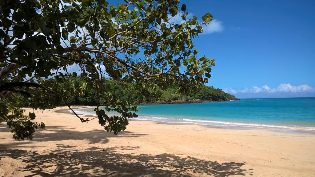 Caraibirent * Las Terrenas