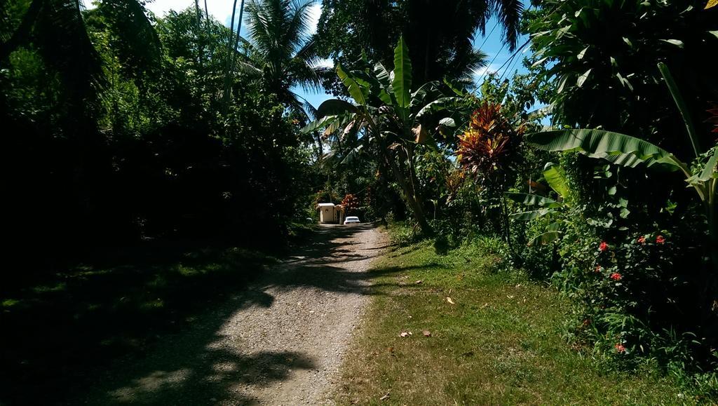 Real Dominican Republic Discovery Puerto Plata