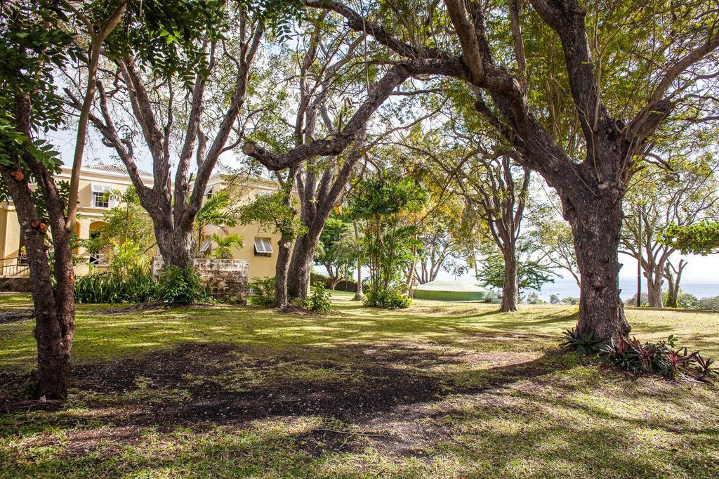 Colleton Great House Guest house