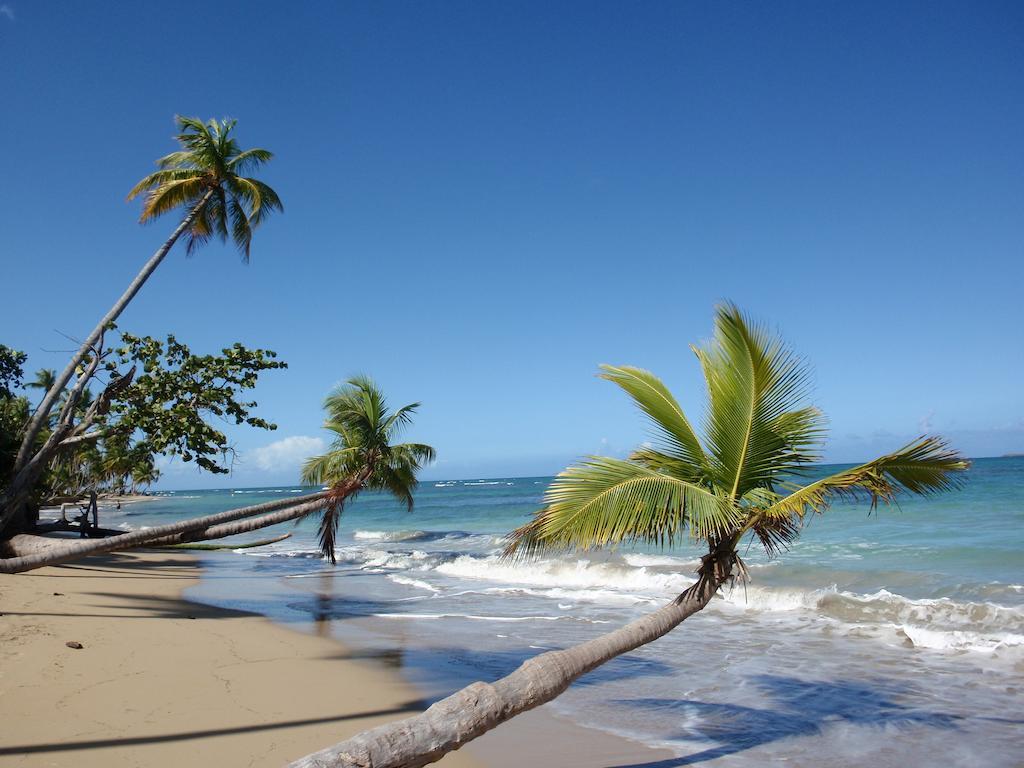 Caraibirent