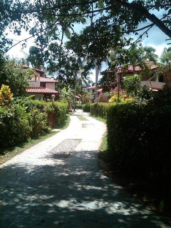 Caraibirent *