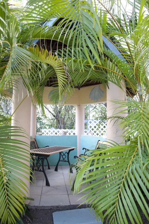 Caribbean Dream Vieux Fort