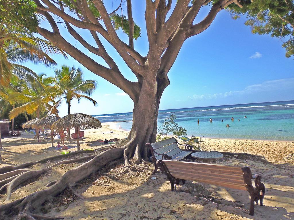 Anse Des Rochers-studio Zabrico