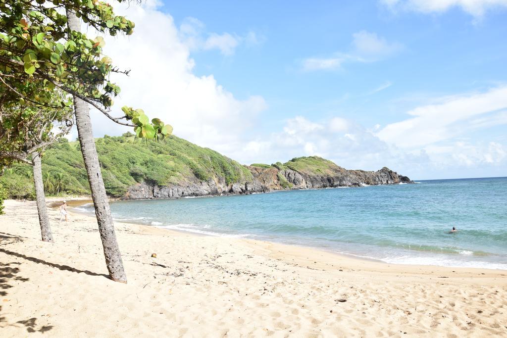 Clos De L'anse L'etang Apartamento La Trinité