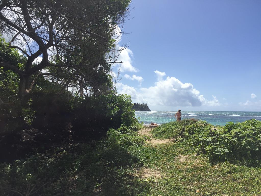 Location Guadeloupe Apartamento Le Gosier (Grande-Terre)