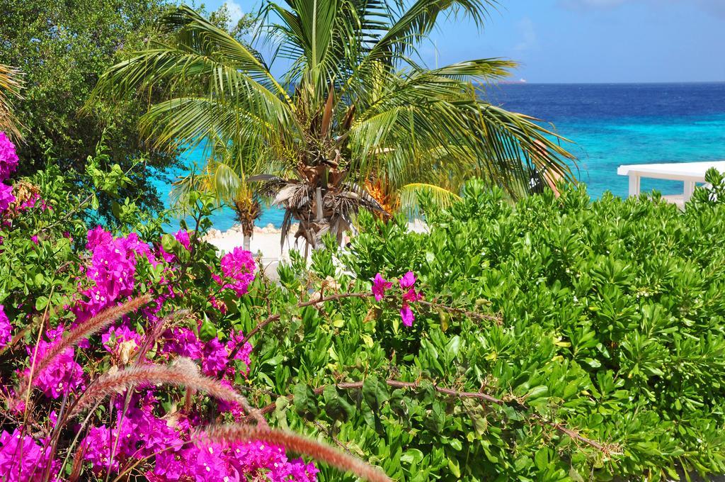 Apartment Hilltop Sea View , Boca Gentil