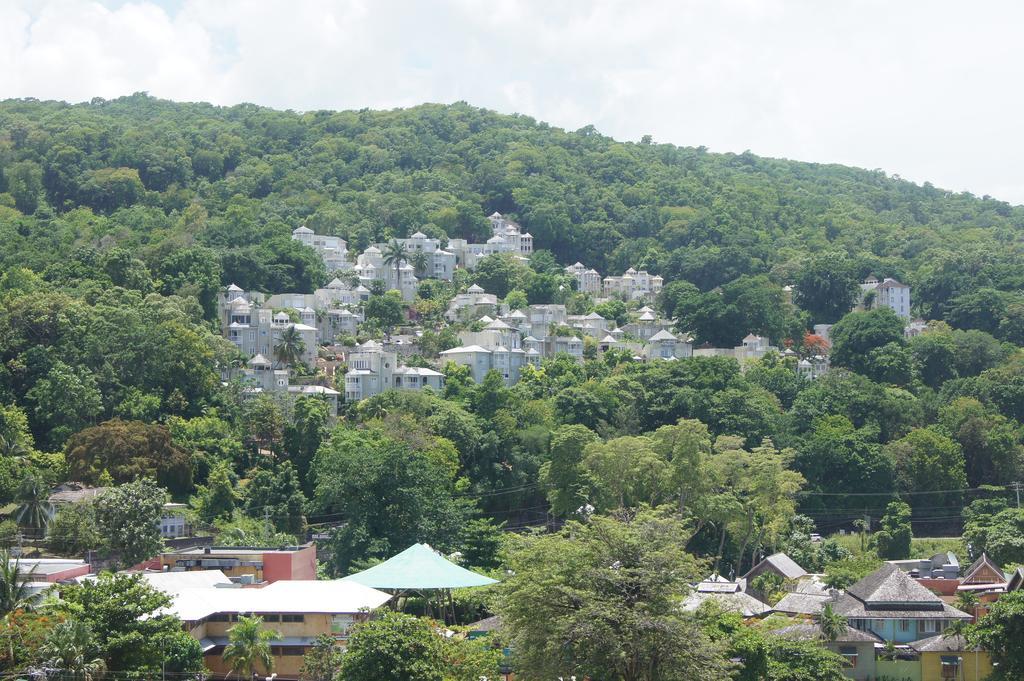 Alva Mae Apartment Ocho Rios