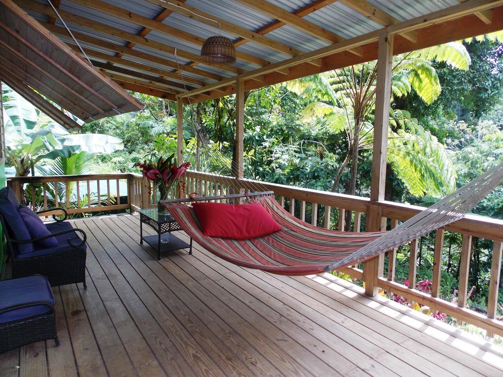 Roots Jungle Retreat * Marigot