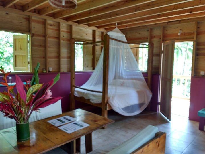 Roots Jungle Retreat *