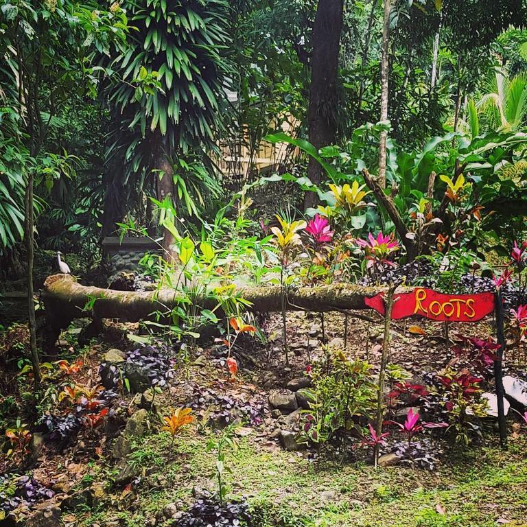 Roots Jungle Retreat