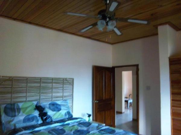 Dolphin Bay Yoga Apartment