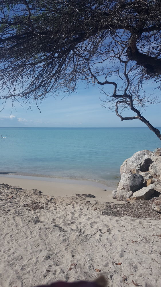 Luichy's Seaside El Combate