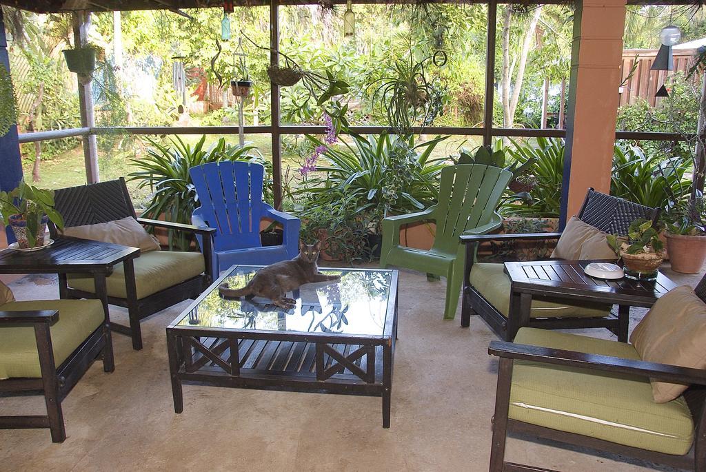 Esperanza (adults Only) Vieques