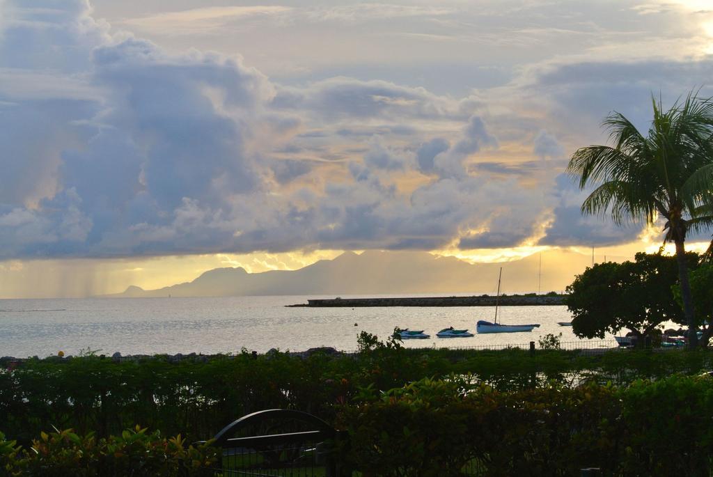 Savannah Guadeloupe Saint-Francois (Grande-Terre)