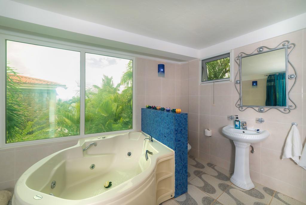 Royal Palm Mero