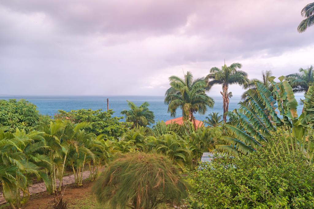 Royal Palm Apartment Mero