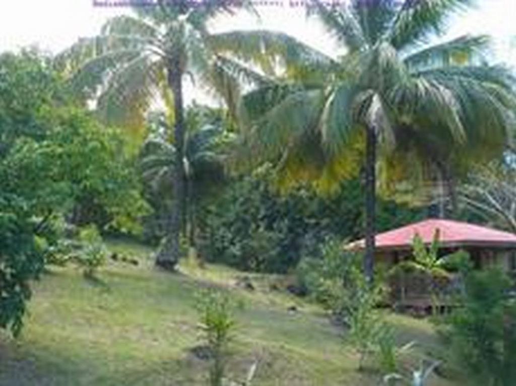 Casa de férias Au Vieux Manguier Deshaies