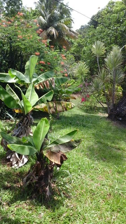 Casa de férias Au Vieux Manguier Deshaies