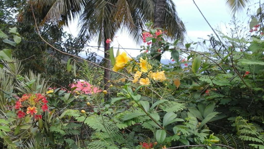 Au Vieux Manguier Casa de férias