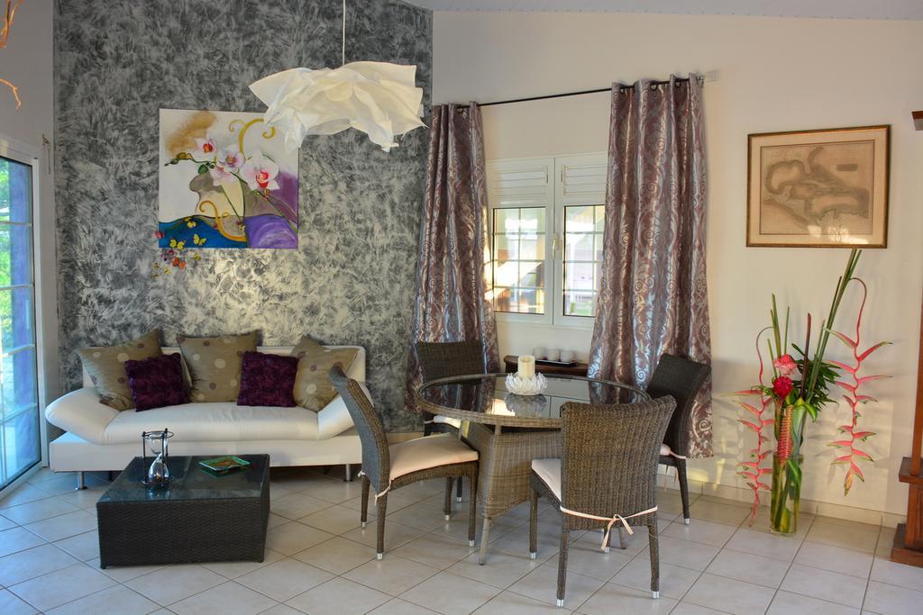 Villa Amethyste Avec Grande Piscine Privee, Jardin Clos, Parking Prive