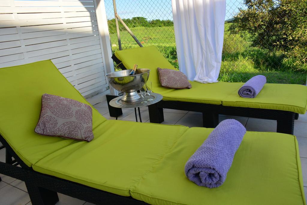 Villa Amethyste Avec Grande Piscine Privee, Jardin Clos, Parking Prive