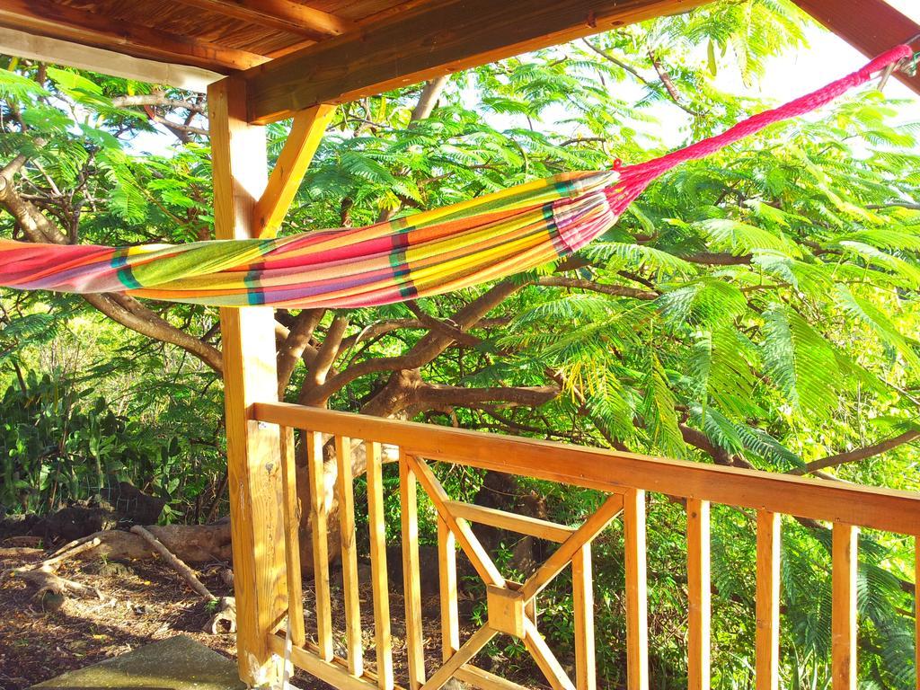 Casa de férias Alamanda Bouillante