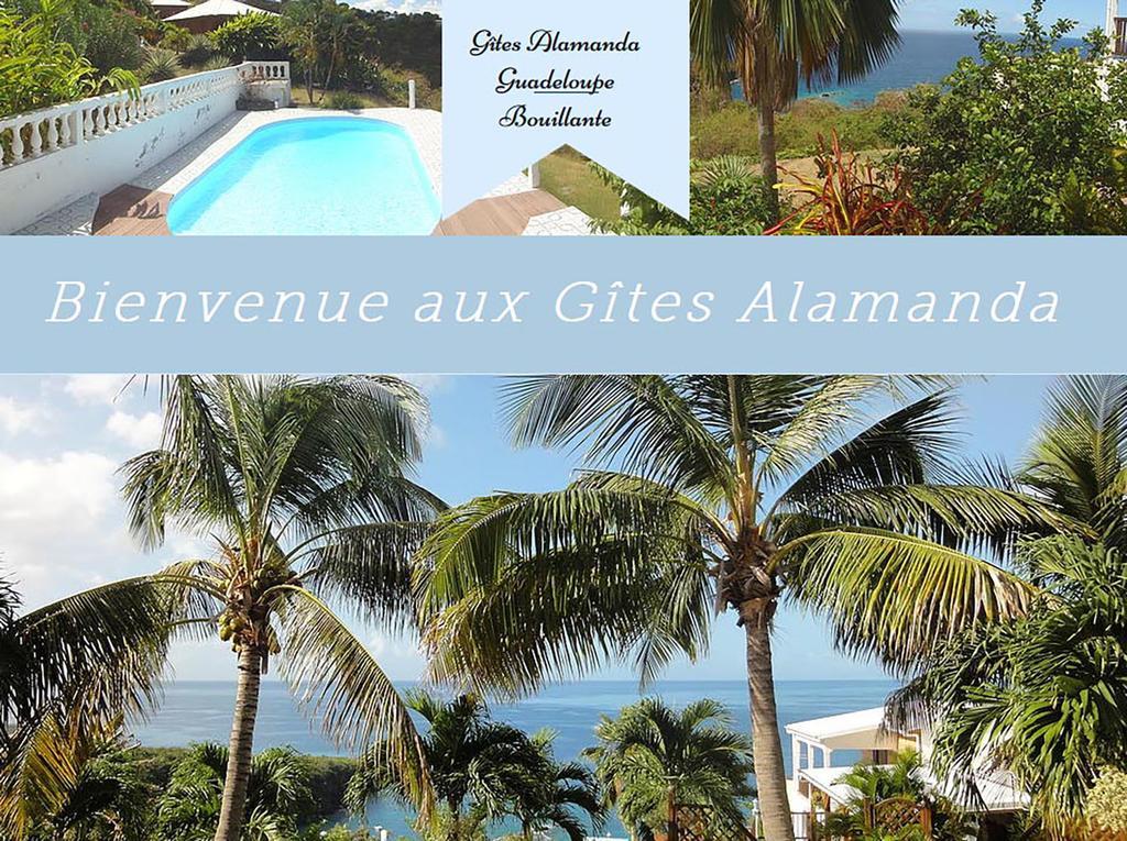 Alamanda