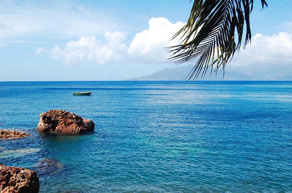 Mangoplaya