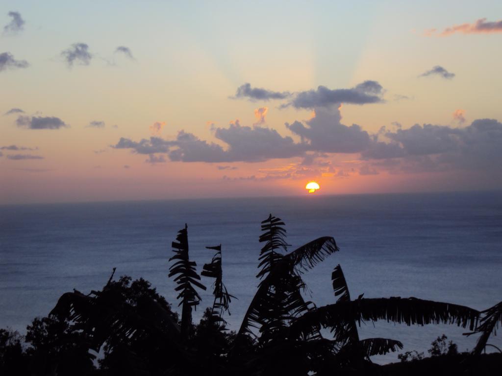 Guadeloupe-paradisio Holiday home