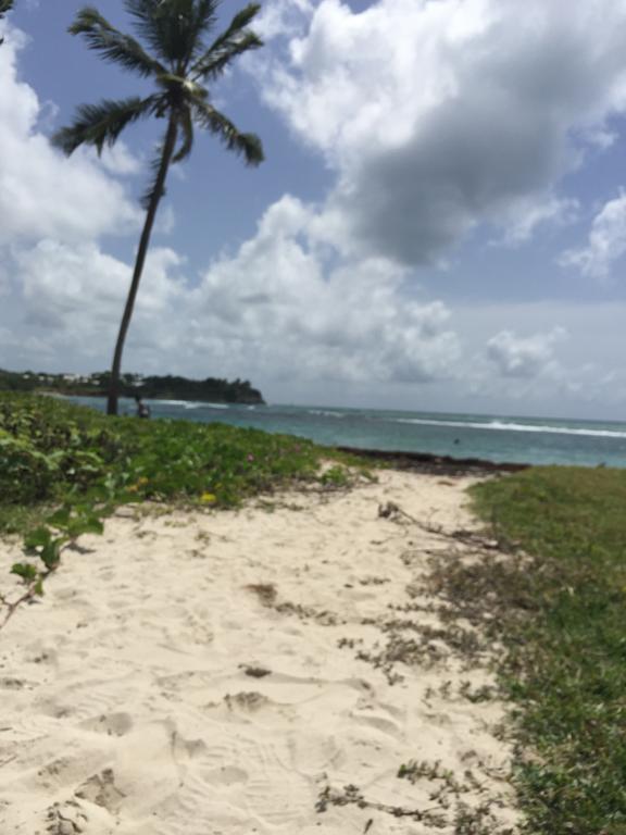 Apartamento Location Guadeloupe