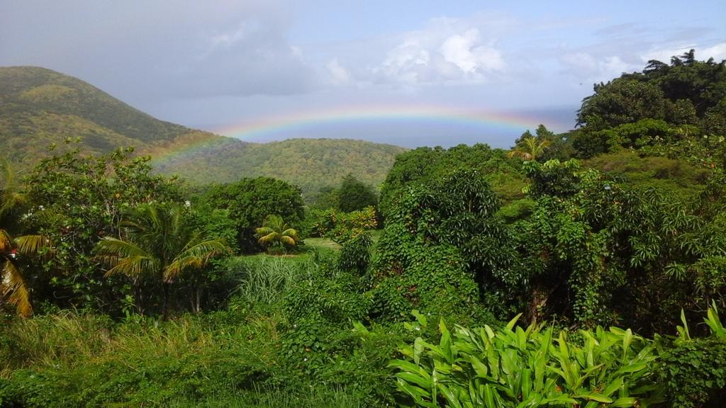 Casa de férias Au Vieux Manguier Deshaies