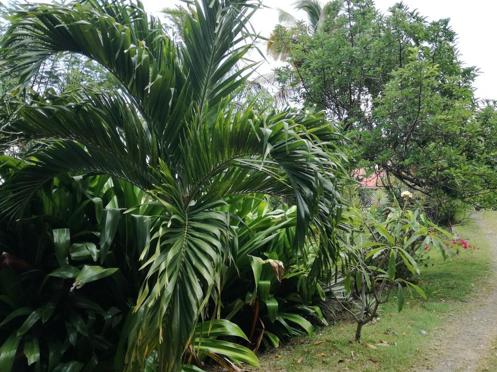 Casa de férias Au Vieux Manguier